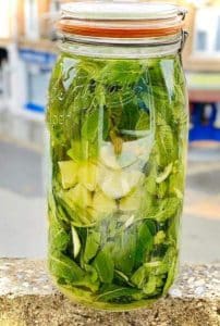 rhum pour mojito
