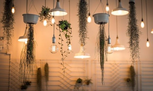 CASA : des décorations 100 % bio, est-ce possible ?