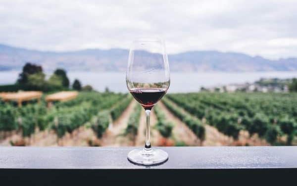 Bien acheter son vin en ligne