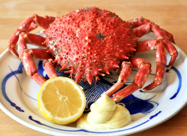 Araignée de mer cuite