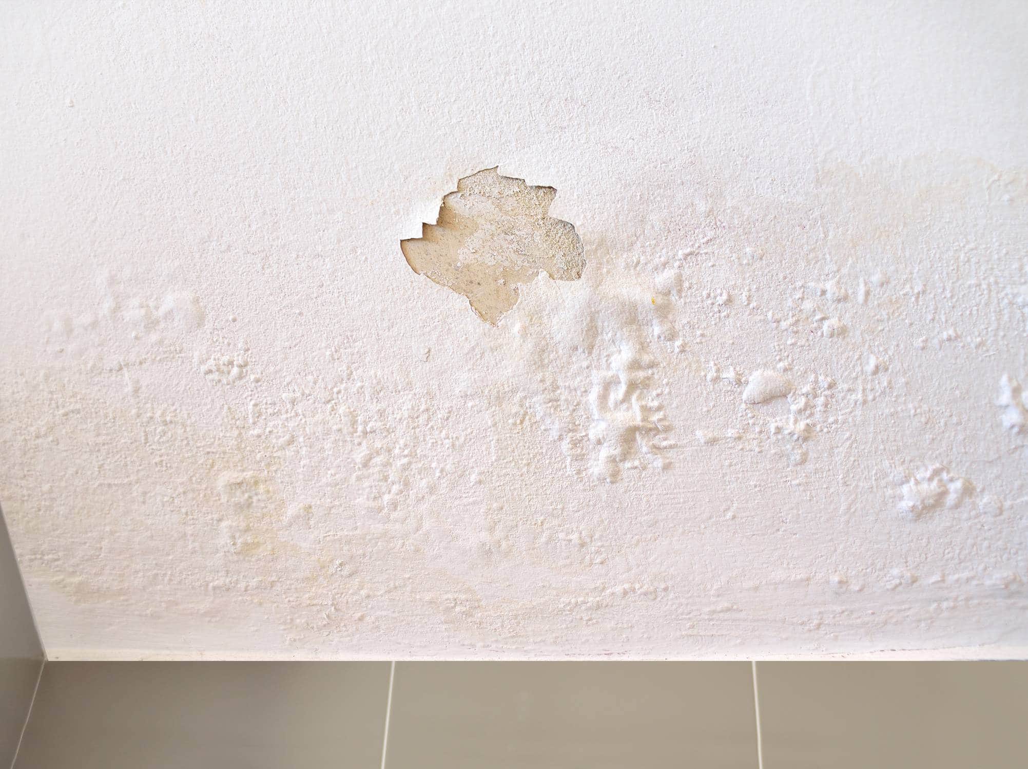 humidité écaillement peinture maison