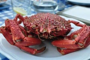 cuisson araignée de mer
