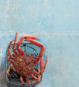 cuisson araignée de mer