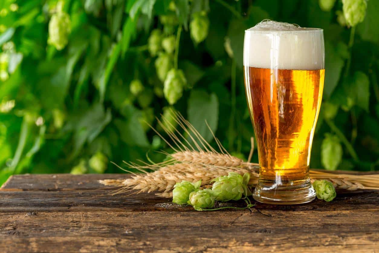 bière soirée boisson chope