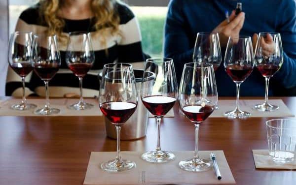 Oenologie : Comment mieux s&rsquo;y connaître en vin ?