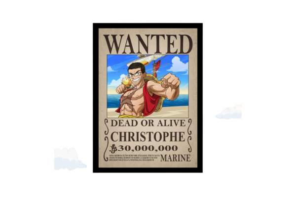 One Piece : Une odyssée en images