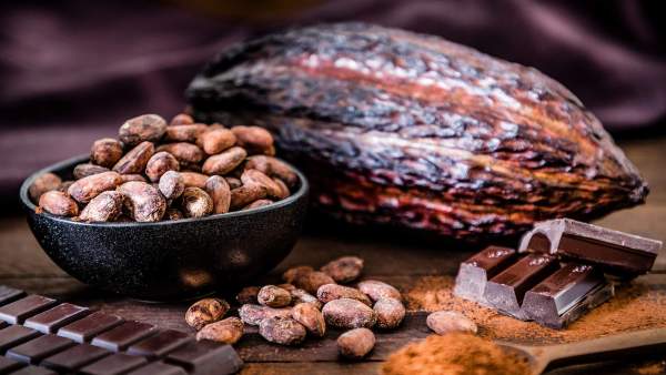 La transformation du cacao