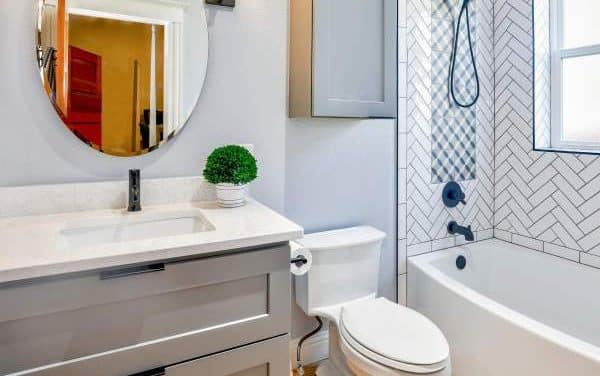 Une révolution sanitaire avec les toilettes Sanibroyeur