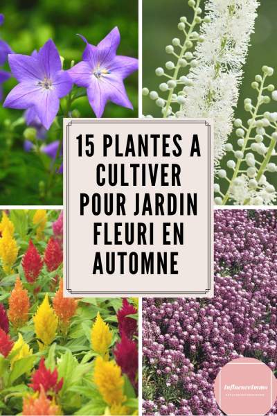 déménager sans se ruiner