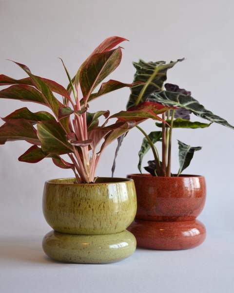 Cache-pot design plante intérieur
