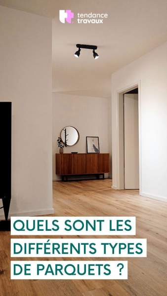 Sens pose parquet salon