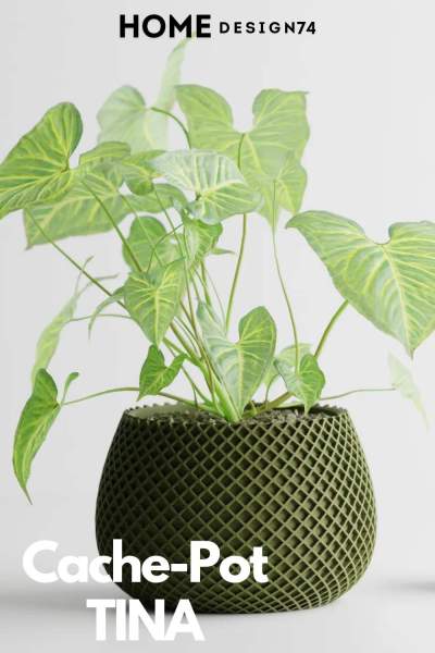 cache pot