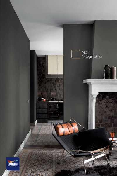 Peinture mur noir mat