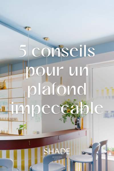 Peinture plafond blanc