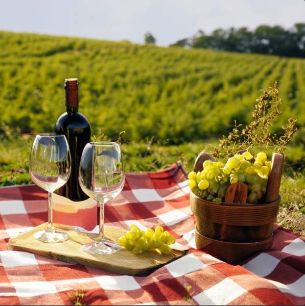week-end vins bordelais