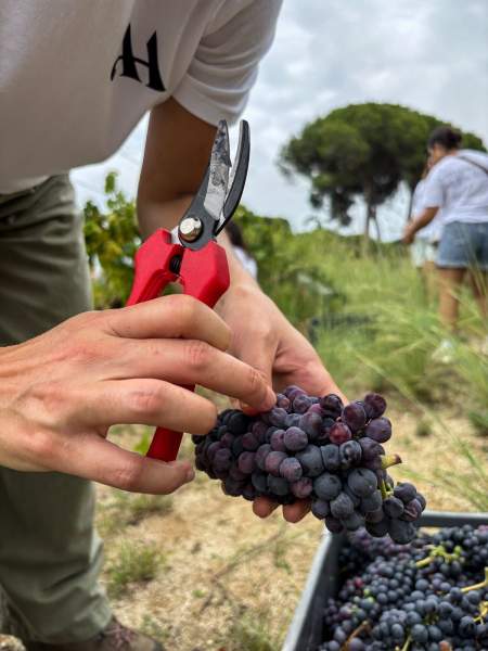 week-end vins bordelais