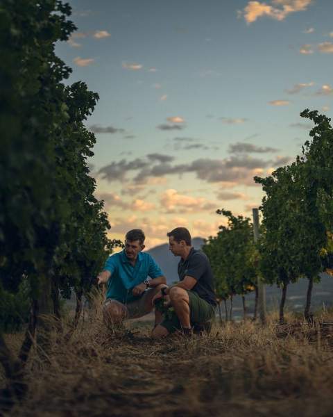 week-end vins bordelais