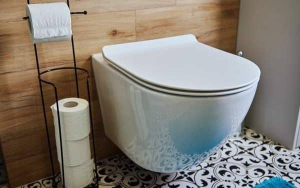 Quand les toilettes deviennent un élément fort de la décoration intérieure