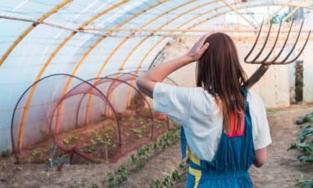 Serre tunnel au jardin : tout ce qu&rsquo;il faut savoir avant d&rsquo;acheter