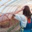 Serre tunnel au jardin : tout ce qu'il faut savoir avant d'acheter