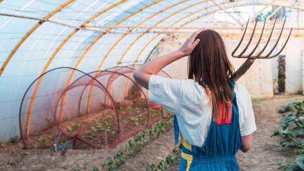 Serre tunnel au jardin : tout ce qu&rsquo;il faut savoir avant d&rsquo;acheter